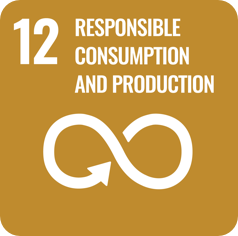 responsible-consumption-production