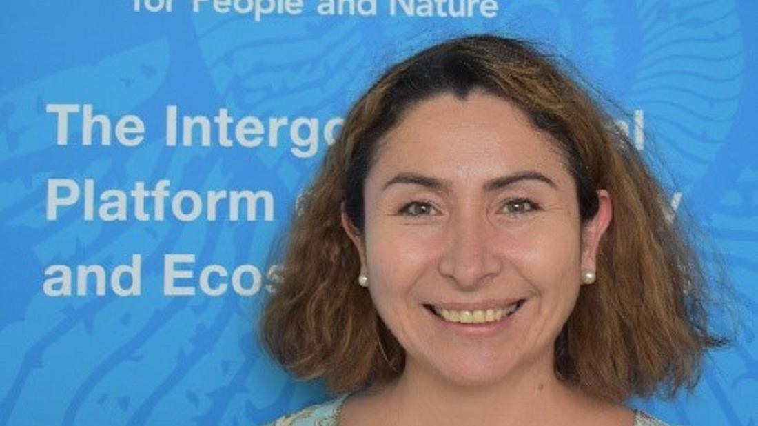 Ana María Hernández Salgar, Personalidad Ambiental de Ecovidrio